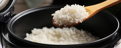 Rice Cooker